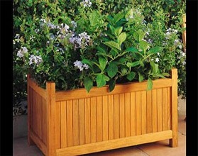 ���Ͻ���