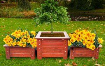 ��ľ�ƻ���