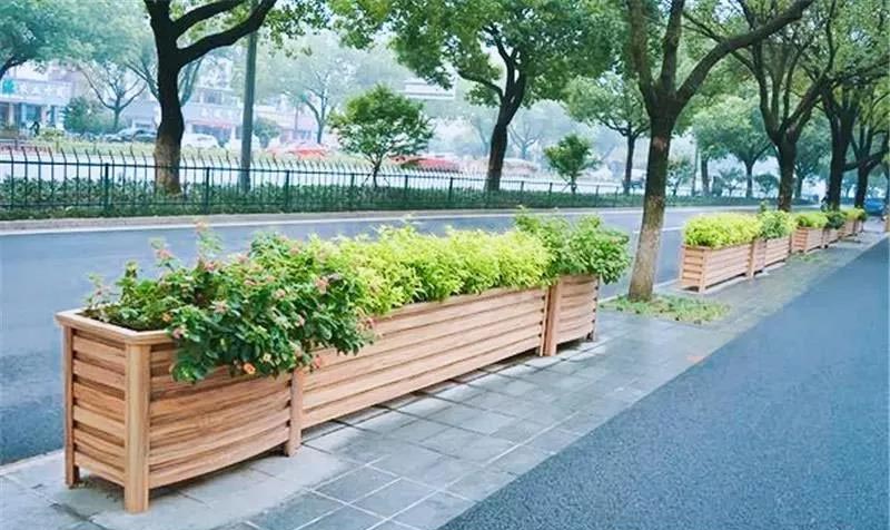 ����ľ����