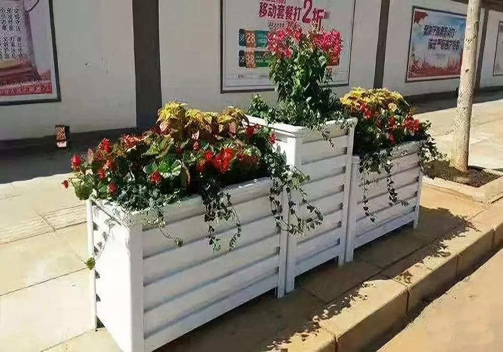 ���Ͻ���